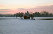 20101229_FrontYard-2_10